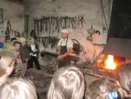 Zielone szkoły 4
