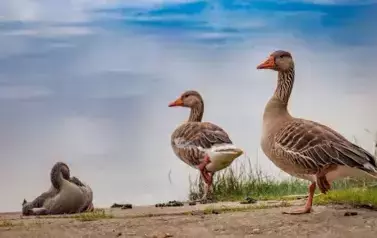 Nasz ośrodek 9